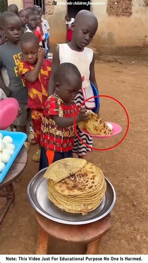 Building Wooden Log Cabin in Forest 🎄🎈 | Survival House Step by Step "9 #shorts #facts