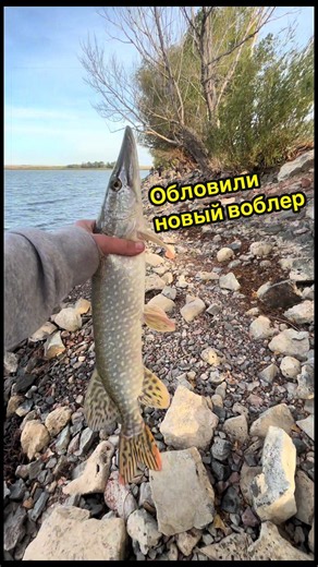 Простите что делаю короткие видео на рыбалку пришлось идти одному потому что два друга заболели на рыбалке и не кто не мог снимать но думаю вы меня поймете на следующий рыбалке будет длинное и интересное видео
