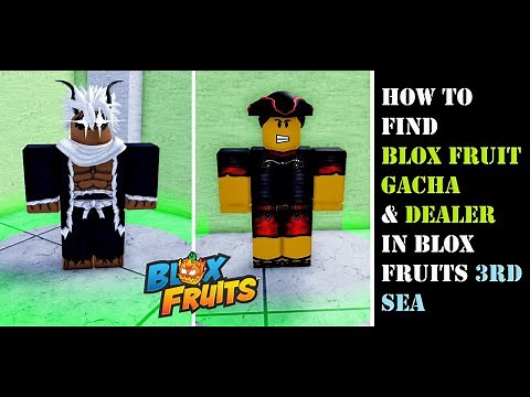 Where is the Blox Fruit Gacha in 3rd Sea | Blox Fruit Gacha & Dealer Location #roblox #bloxfruits