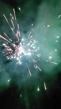 2019 4" Excalibur compared to 2019 5" Growler canister shells