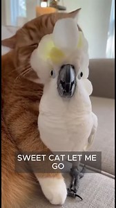 somebody please rescue me..😍😅 | Pets Paradise