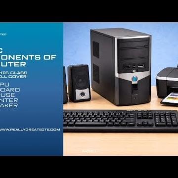 Computer Basics for Absolute Beginners 💻 | Everything You Need to Know!