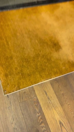 Tommy Sneakers at Edgar's: Free Hoodie Challenge