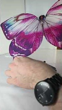 Der RC-Butterfly – auch RC-Schmetterling genannt – in der Ehrlich Brothers Show. Leider empfindlich