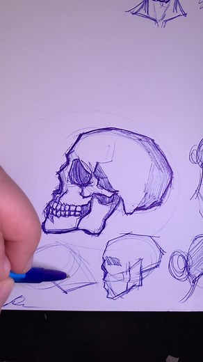 Quick Skull Sketches: Anatomy Study for Mangaka