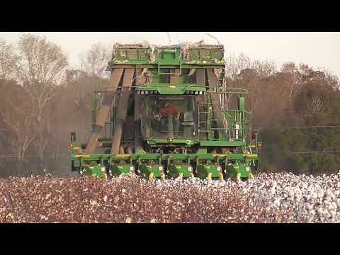 John Deere CP770 and CP690 Picking South Georgia Cotton! SCOTT FARMS 2021 COTTON HARVEST DAY 3 PT4