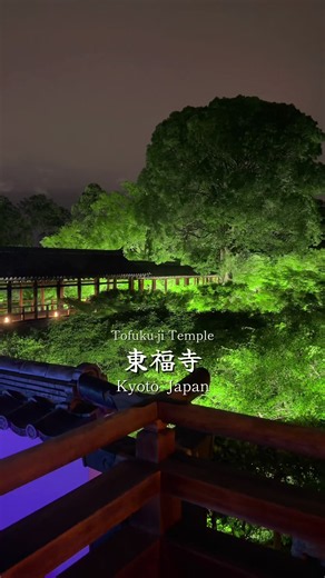 東福寺プレミアム夜間拝観イベント✨️🍀 📍東福寺 / 京都🇯🇵 ➥@zennight_vie@ZEN NIGHT 東福寺 夜間拝観 【詳細】 「ZEN NIGHT 東福寺」 「ZEN NIGHT」は、歴史ある禅寺を舞台に、脳科学で実証された音・光・静寂・自然を通じて、脳がととのうサウンドアートナイト体験を提供するプレミアム夜間拝観イベント✨️ 今回は1236年創建、歴史ある禅寺・東福寺 を舞台に開催される「ZEN NIGHT」✨ 1347年に再建された禅堂は、現存する最大・最古の坐禅道場として今なお禅の修行が行われている特別な場所。 “脳と心をととのえる”という「ZEN NIGHT」の世界観は、禅が長い年月をかけて培ってきた智慧と深く響き合います🌿 さらに今回は、新コンテンツ「ニューロミュージック坐禅」も登場。🧠🎶 脳波計測デバイスを装着し、自身の脳の状態をリアルタイムで可視化。 禅とテクノロジーが融合した、新しい没入体験を味わえます。 静寂の中で、自分自身と向き合う特別な夜を。🌙 🗓開催期間：2026年5⽉29⽇(金)〜7⽉5⽇(日) ※一部日程については、販売を実