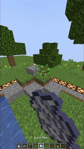 Minecraft Mini Plains Biome ☠️ #minecraft