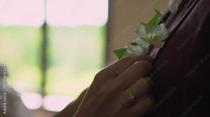 Groom puts on a boutonniere. A girl, a bride or bridesmaid, straightens a flower buttonhole on a man's suit. Male in a white shirt, black tie and vest.