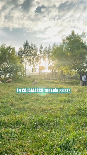 Tu terreno en este hermoso lugar para alejarte del ruido y el estrés de la ciudad 🏡 lotes de 400m2 o el área que necesites ✅ #paratiiiiiiiiiiiiiiiiiiiiiiiiiiiiiii #cajamarca_perú #cajamarca_perú🇵🇪 #cajamarquinabonita🇵🇪 #huamachuco_perú🇵🇪