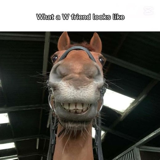 How a w friend looks #memes #trend