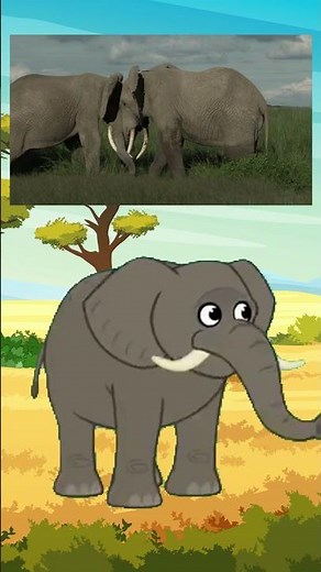 Meet the Animals |African Elephants | The Gentle Giants of the Savanna 🐘🌳#kidsvideo #wildlife #viral
