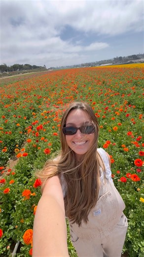 Step into spring! 🌸 Transport yourself to The Flower Fields and soak in the beauty of the season. Fresh air, vibrant blooms, and endless color (there’s nothing like it)! 🌷 www.theflowerfields.com #firstdayofspring #spring #theflowerfields #flowerfields #sandiego #wherecolortakesflight | The Flower Fields