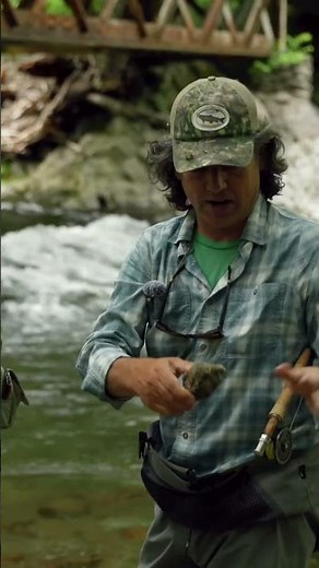 Insane History of the Smoky Mountains!