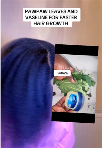 Natural Hair Growth Tips: Paw Paw Leaves and Vaseline