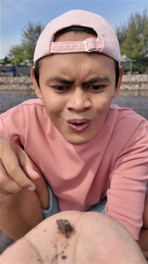 Cari Kelomang di Laut Surut 🐌