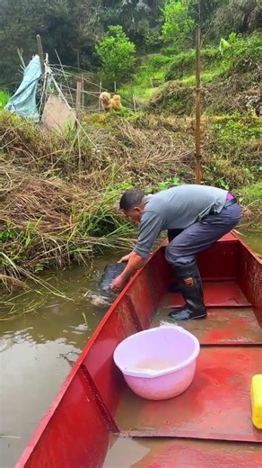 Top 5 Fishing Master Tips: Master Big Catch Techniques