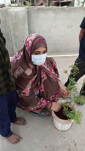 #plant #bagvani #plantcare