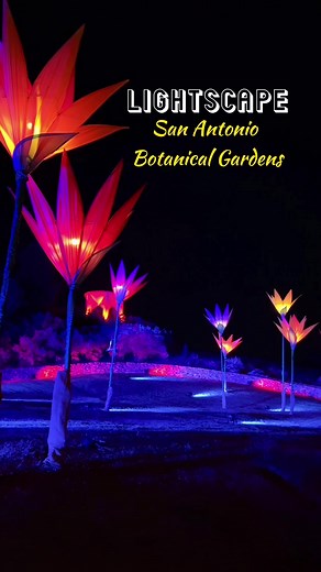 Experience the Magical Lightscape at San Antonio Botanical Gardens!