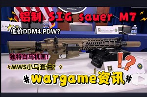 天弓低价新品？DDM4.PDW！霜降铝制Sig XM7！WM锻标MWS系统小马机匣套件！独特白马铸铝 电动二号波机匣套件！