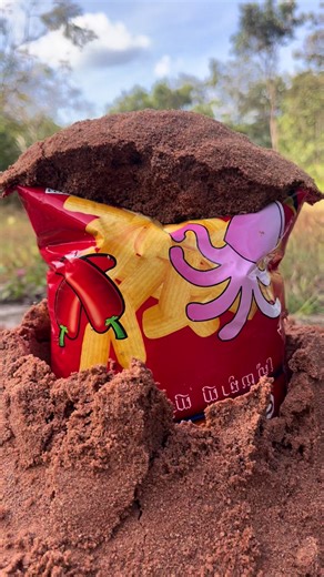 Essential Survival Skills for Outdoor Adventures