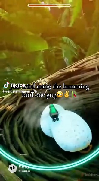 Discover the Fun with Hummingbird Games