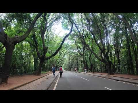 Walking through IISc campus | Sunday | Oct 2025 | 4k