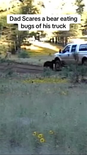 10K views · 3.8K reactions | You never know what’s gunna happen in the elk woods!! #fyp #elkcalling #elkhunting #elk | HUNT RIVEN | Facebook