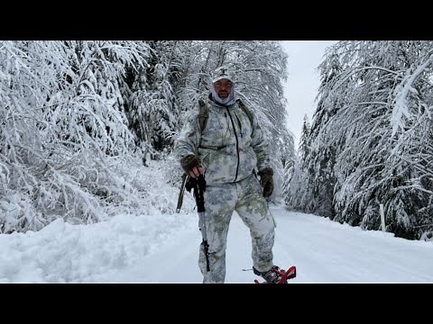 Costco ALPTREK PRO 930 Snowshoe review