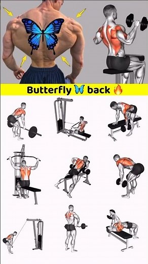 Butterfly Back Workout 🦋 | Wide V-Shape Back Transformation | Best Back Exercises🔥