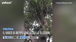 Il video di Beppe Grillo sulle elezioni: “Il M5s è come un nespolo, resiste”