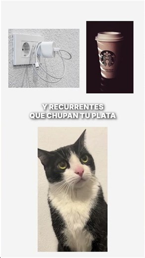 Your expenses explained by kitties 🐈