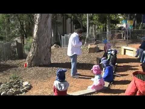 EYLF TAPS NQS PLP - Reflecting on practice Part 1 of 4