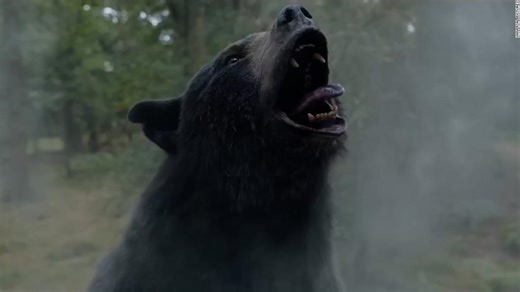 Bear goes on killing spree after finding cocaine in viral film trailer | CNN Business