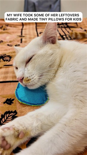 We will make a lot of DIY videos so that you can also make cat accessories at your home