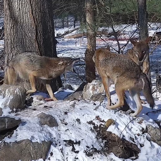 49K views · 4.6K reactions | Time for lunch (and a little...