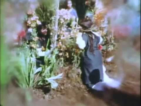 Rolf Forsberg's "The Antkeeper"