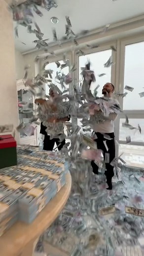 The Anar Dreams on Reels