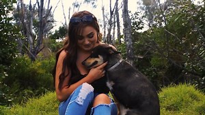 Three-legged Evie came to us after a very difficult ordeal, which involved her leg being immobilised in a trap for an estimated four days. Her story highlights the value of rehoming animals of all ages and experiences. Read the full story in our Spring edition of Tawl Tails here: http://bit.ly/2fdRcIy | Animal Welfare League Queensland