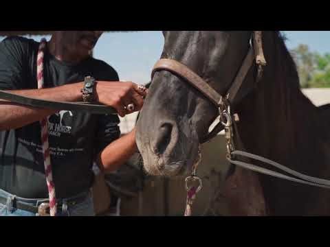 1+1 (Prod. DRAFT) | Official Video