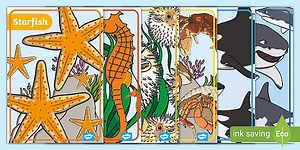 Ocean Life Display Poster