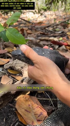 Thử thách sinh tồn tại Indonesia chính thức kết thúc, trở về nước nghỉ ngơi và tranh thủ giải quyết 'chuyện cả đời' của Tần Ái Đức. Mời riêng 'thầy Tony' thiết kế thửa riêng một kiểu tóc thật đẹp trai, còn chuyện đi xem mắt có thành công hay không thì tất cả tùy vào duyên số thôi. #SinhTồnTrongVùngHoangDã #sinhtồn #sốngsót #khámpháthiênnhiên #KhámPhá #indonesia | GX Food - Đặc sản Tây Nguyên