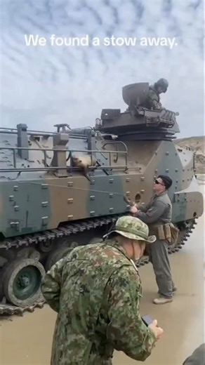 Странник/Wanderer on Instagram: "A Navy SEAL deploys from an AAV-7 amphibious vehicle. Serious preparations before a new military operation. #funnyvideo #rells #amphibiousvehicle #aav7 #забавноевидео #рилсс #машинаамфибия #аав7"