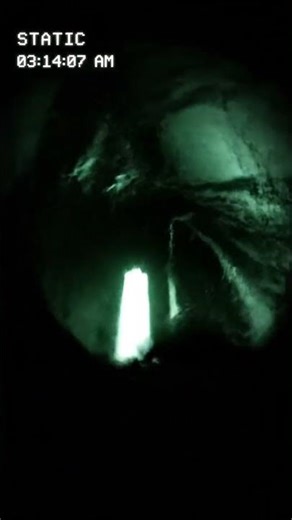 Something Leaned On The Camera. #ShadowPulse #AnalogNightmare #SilentHorror