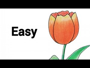 Simple tulip drawing for beginners