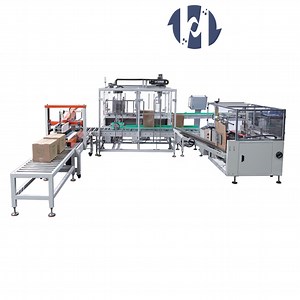 [Hot Item] Wrapper Machine Processing Line Automatic Carton Box Packing Machine