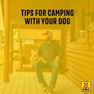 51K views · 253 reactions | Planning your next camping trip? Make...
