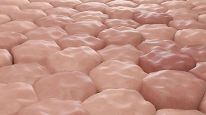 Close-up of Damaged Skin Cells Texture
