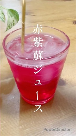 I made Red Shiso Juice #RedShisoJuice #RedShiso #ShisoJuice #LifeWithFermentation #SeasonalHandiw...