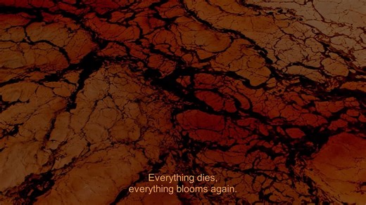 Labocine on Instagram: ""The Song of Empedocles" directed by Sylvain L'Espérance. Empedocles imagines the birth of the world from the elements: water, earth, fire and air. His voice merge with the metamorphoses of an invisible Wanderer whose journey reminds us that the stories we believe to be outside of time never pass away. #experimentalfilm #videoart #artfilm #cinemapoetry #visualpoetry #mythology #philosophy #timelessstories #elements #metamorphosis"